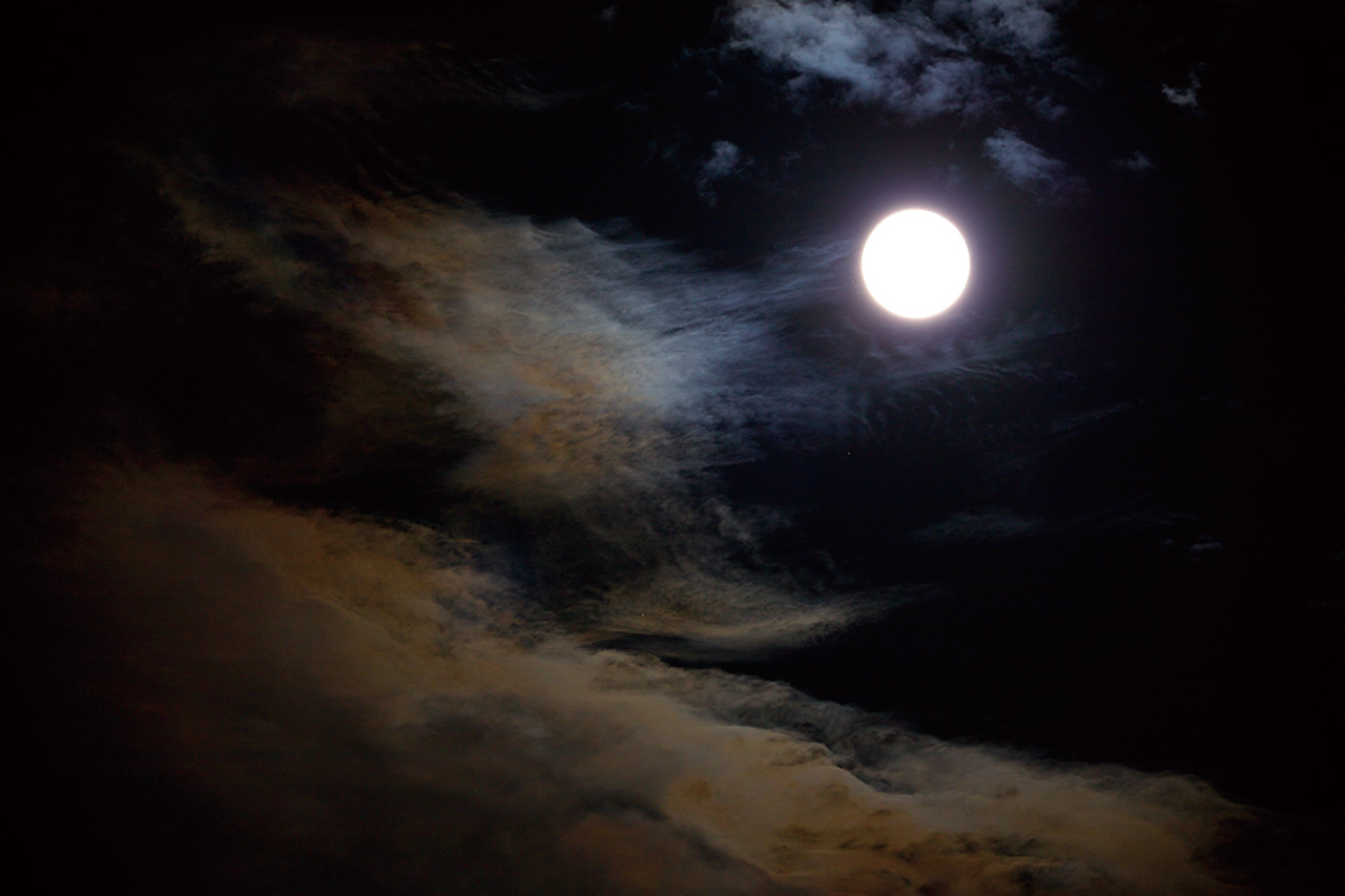 Evening Moon