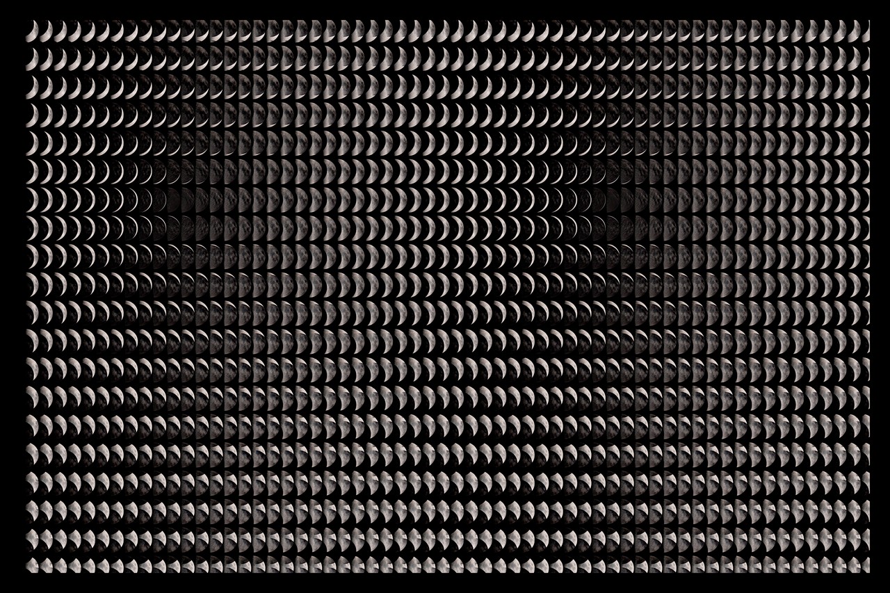 Phase / Repetition